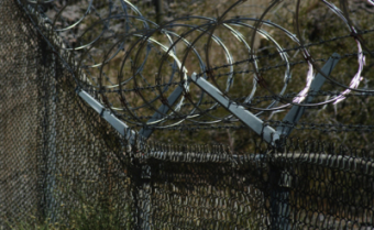 Узбекские пограничники застрелили таджикистанца