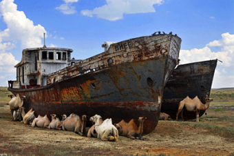 Узбекистан: Как сохранить жизнь в эпицентре экологической катастрофы
