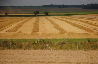 Иран хочет увеличить аутсорсинг сельхозугодий в Казахстане до 10000 гектаров