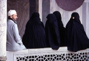 Легализация многоженства решит проблему проституции? Результаты исследования