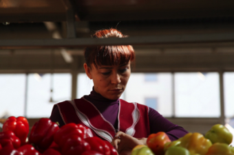 Российские феминистки обучают мигранток из Центральной Азии