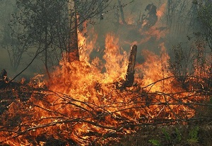 Российские военные спасли от пожара село в Киргизии