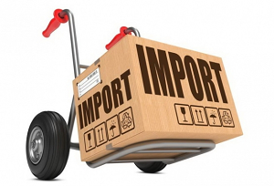 Казахстан увеличивает зависимость от российского импорта 