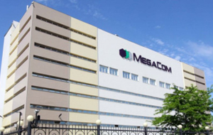 Потенциальная покупательница MegaCom Елена Нагорная - кто она?