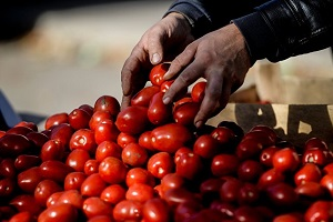 В томатном кризисе победа - за Россией