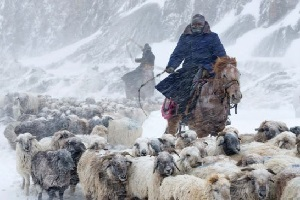Подвергшиеся обвинениям за «трансграничную симпатию»