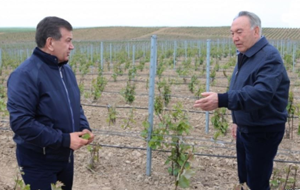 Ключи от интеграции в Центральной Азии Узбекистан ищет в селе