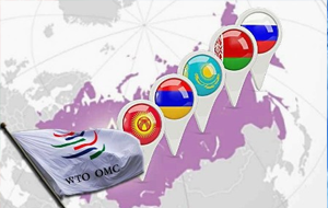 Туркменистан сотрудничает с ООН в вопросе вступления в ВТО