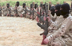 ИГ* почти разгромлено — сколько кыргызстанцев уехало в Сирию, сколько убито