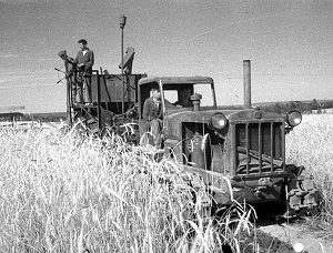 Из послевоенной разрухи в мировые лидеры – как «поколение безотцовщины» совершило подвиг