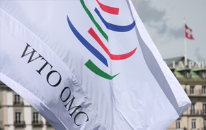 Китай крайне недоволен действиями против него со стороны США в рамках ВТО 