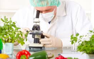У Кыргызстана до сих пор нет закона о безопасности пищевой продукции