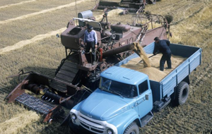 Для Казахстана колхоз - самая эффективная форма ведения сельского хозяйства