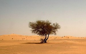 Превратится ли Казахстан в пустыню?