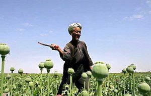 Таджикистан. Наркотрафик без присмотра