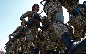 Мобильная и компактная — эксперт об армии Кыргызстана