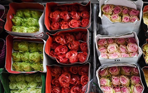 Сколько денег госорганы Кыргызстана потратят на цветы в марте