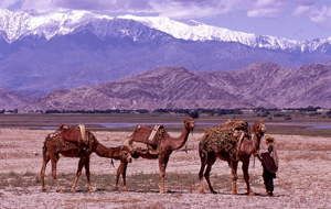 Будущее Афганистана — в составе Центральной Азии