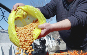 В Таджикистане отмечен рост цен на продукты 