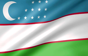 Самыми высокооплачиваемыми бюджетниками в Узбекистане оказались преподаватели вузов