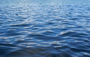 Как спасают Арал Казахстан и Узбекистан