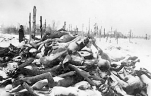 Джут в казахской степи