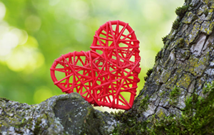 Сколько Кыргызстан потратил на охрану окружающей среды