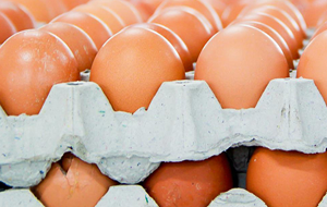 Таджикистан полностью запретил импорт куриных яиц