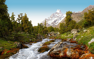 Самое важное в Центральной Азии за неделю