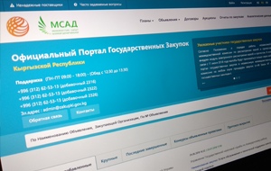 «Вы выявляете, а мы боремся». Департамент госзакупок КР не ищет нарушения в тендерах из-за нехватки сотрудников