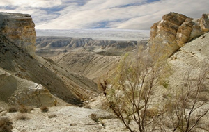 Казахстанский эколог предрек катастрофу в случае создания искусственного водоема рядом с Каспием