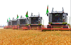 Туркмения провалила план по сбору пшеницы