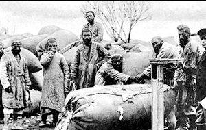 Черные агрономы. Как дед Елены Ханги создавал хлопковую зависимость Туркестана