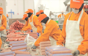 Экономике Киргизии нужны кадры, крупный бизнес и стимулы