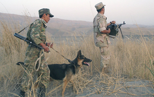 Пограничники Узбекистана и Таджикистана впервые провели учения