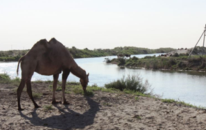 Кыргызстан намерен вернуть компенсацию за обеспечение водой региона