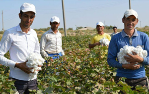 Узбекистан: Иноятов вернулся в политику, экономика после кризиса идет в рост