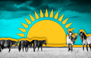 Взаимное недоверие государства и общества в Казахстане: путь в XIX век?