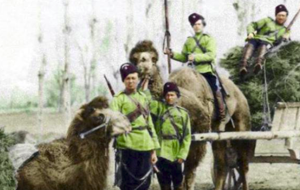 Как в Центральной Азии появились казаки?