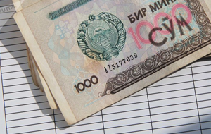 Что сделает Узбекистан для повышения прозрачности госбюджета