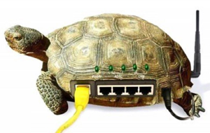 Таджикский интернет: дорогой и плохой