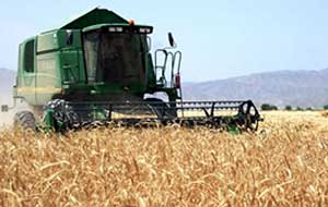 Агония агропрома Туркменистана