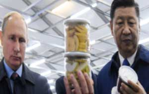 Как Китай будет развивать Дальний Восток