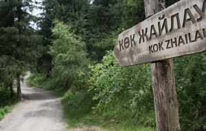 Большая стройка в горах Алматы? Станет ли урочище Кок Жайляу курортом