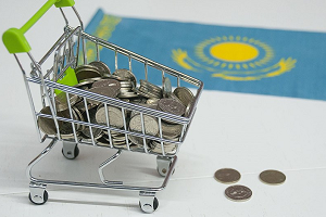 Более 80% проектов Евразийского банка развития приходятся на Россию и Казахстан