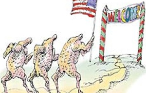 Таджикистан хочет от США высококачественного птичьего мяса