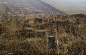 Кыргызстан: люди не хотят покидать долину смерти