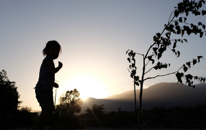 Почему кыргызстанцы бьют детей?