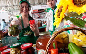 ВСП+. Почему Кыргызстан упускает возможность наладить экспорт в Европу