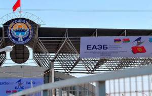 Контрафакция и контрабанда – две большие проблемы, как ЕАЭС, так и каждого отдельного государства в составе союза